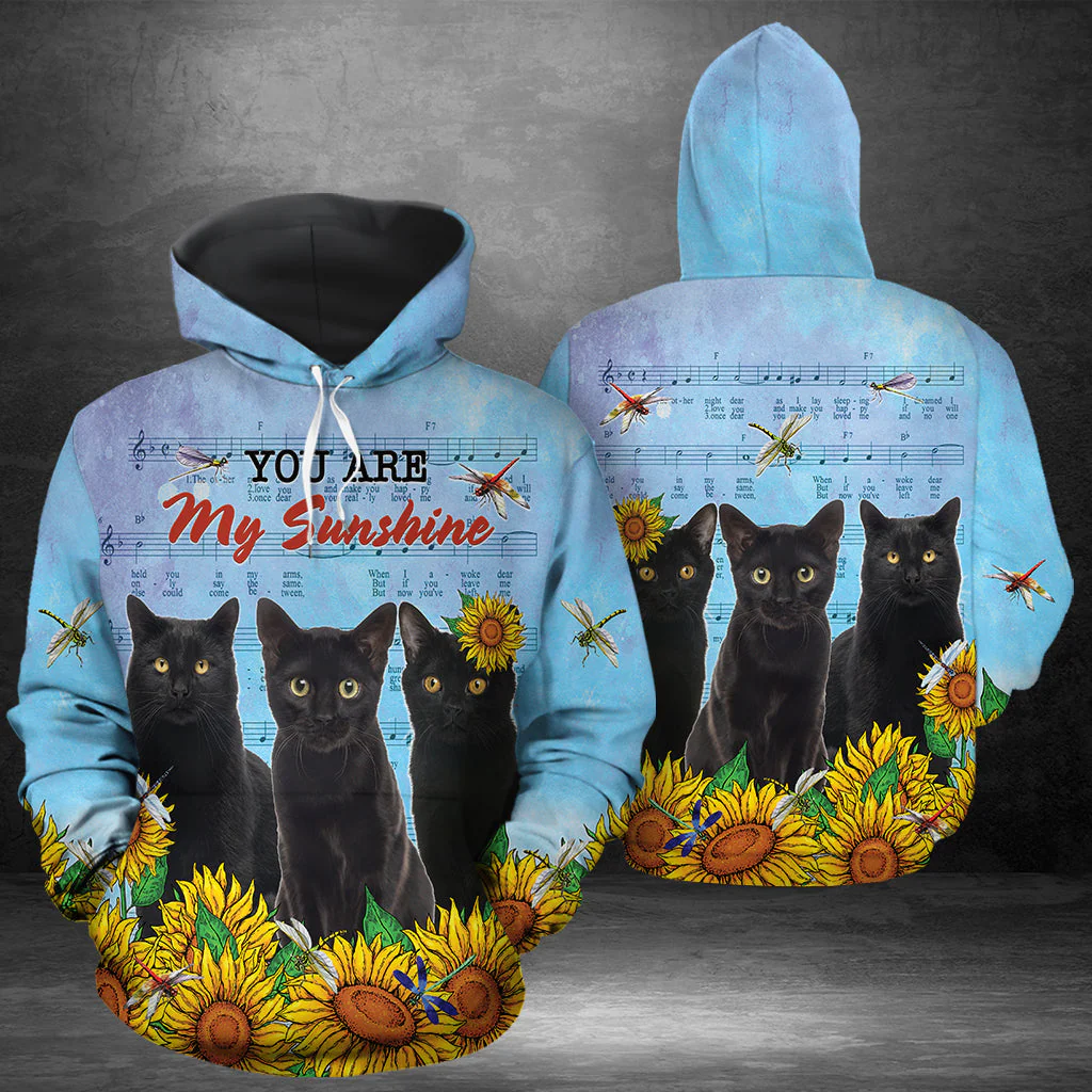 Black Cat Pullover Premium Hoodie You Are My Sunshine, Perfect Outfit For Men And Women On Christmas New Year Autumn Winter - Image 2