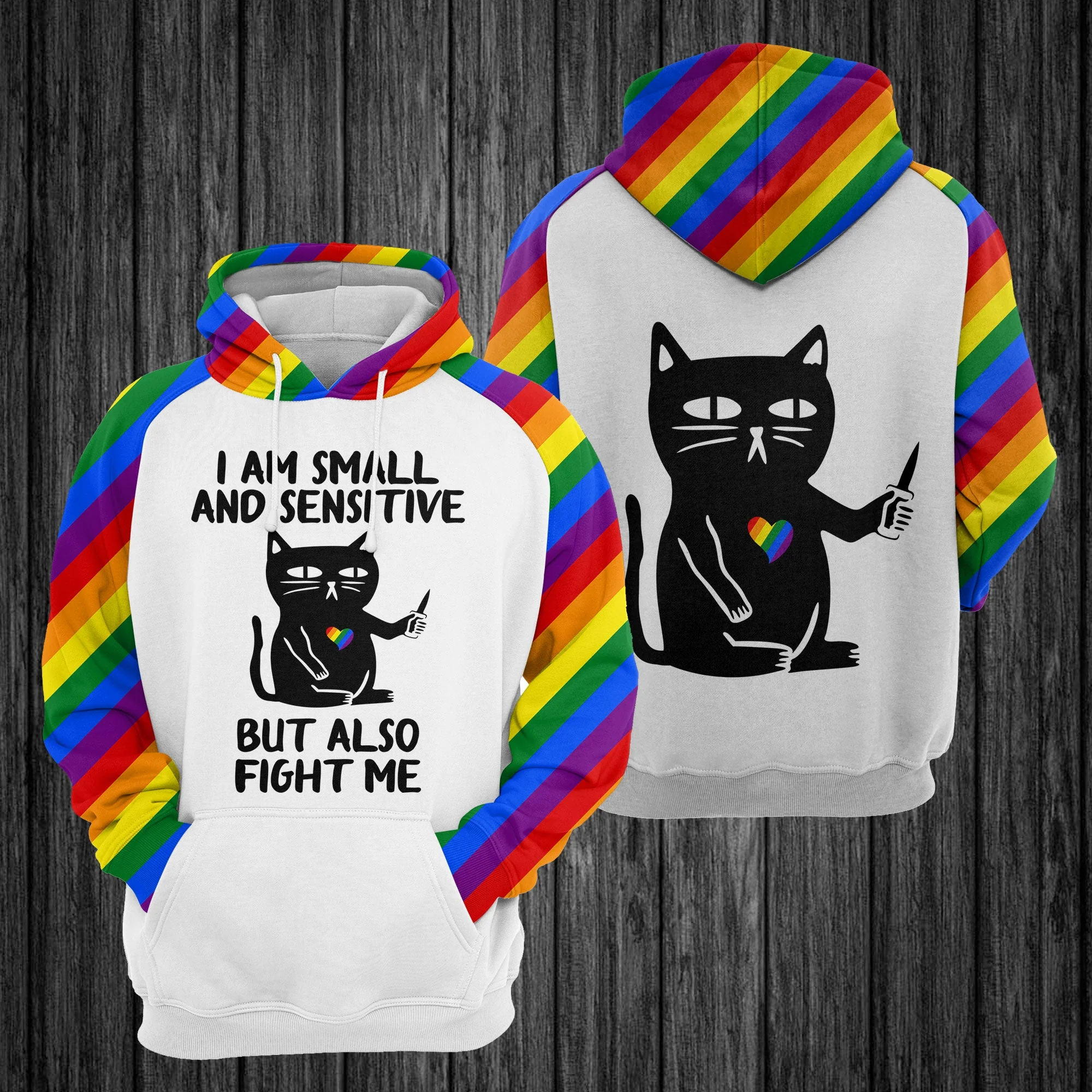Cat LGBT Awesome Pullover Premium Hoodie I Am Small And Sensitive, Perfect Outfit For Men And Women On Christmas New Year Autumn Winter - Image 2
