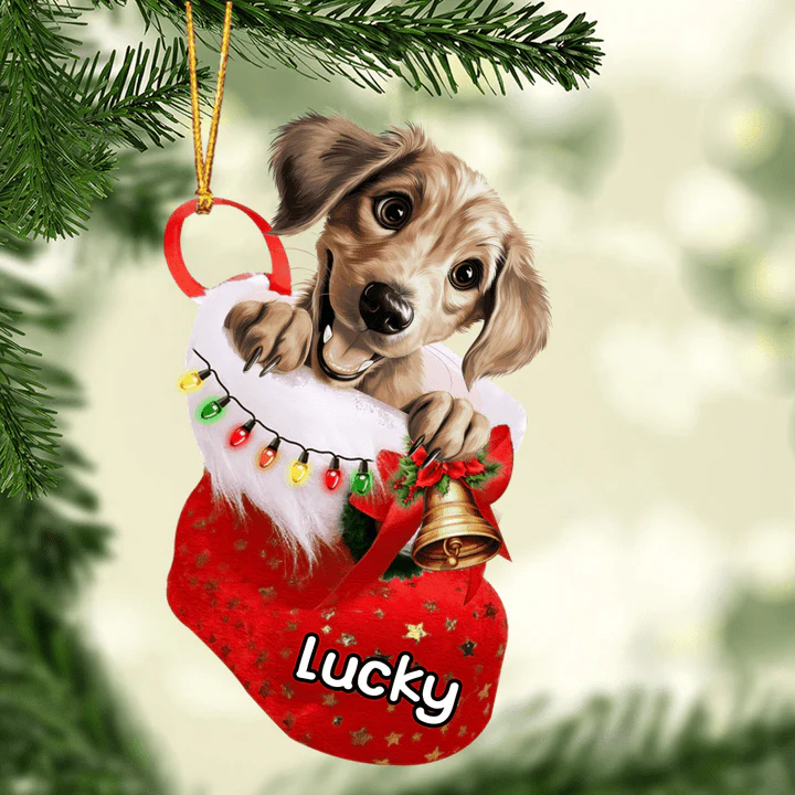 Custom Dog Acrylic Christmas Ornament, Personalized Baby Sloughi Dog In Stocking Christmas Acrylic Ornament for Dog Lover, New Year