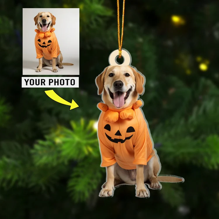 Custom Dog Photo Acrylic Christmas Ornament, Dog Photo Ornament, Meaningful Christmas Gift For Dog Lover - Image 2