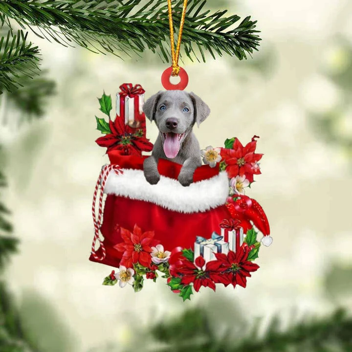 Customized Weimaraner In Red Gift Bag Acrylic Christmas Ornament, Personalized Christmas Gift For Dog Lovers, Dog Mom - Image 2