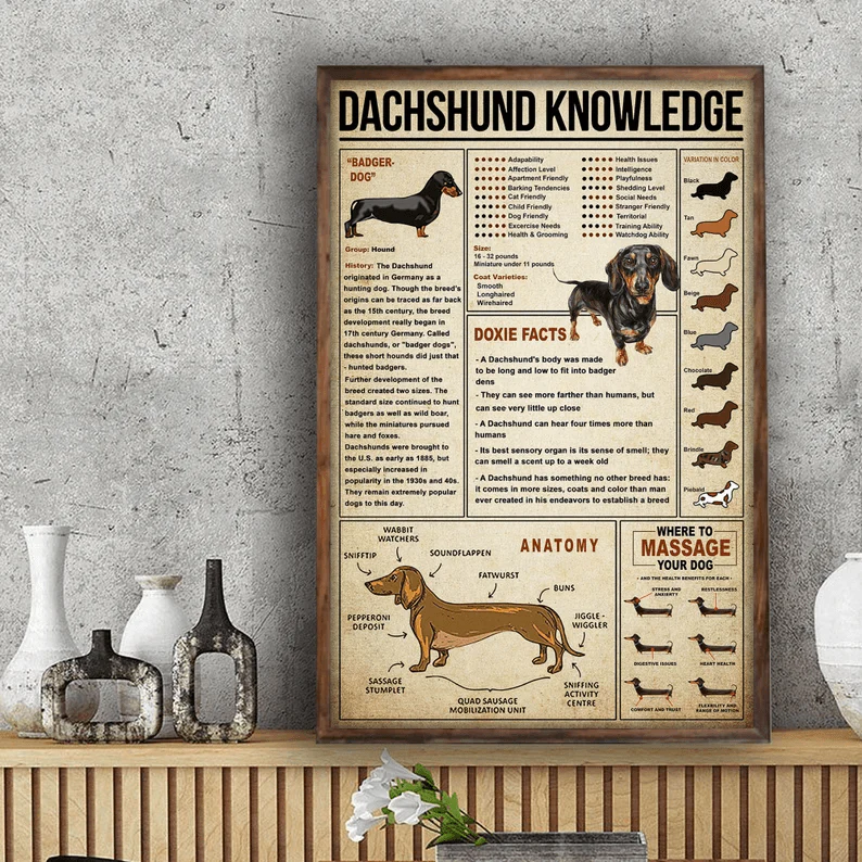 Dachshund Portrait Canvas - Dachshund Knowledge Portrait Canvas - Gift For Dog Lovers, Friends, Family, Dachshund Lovers