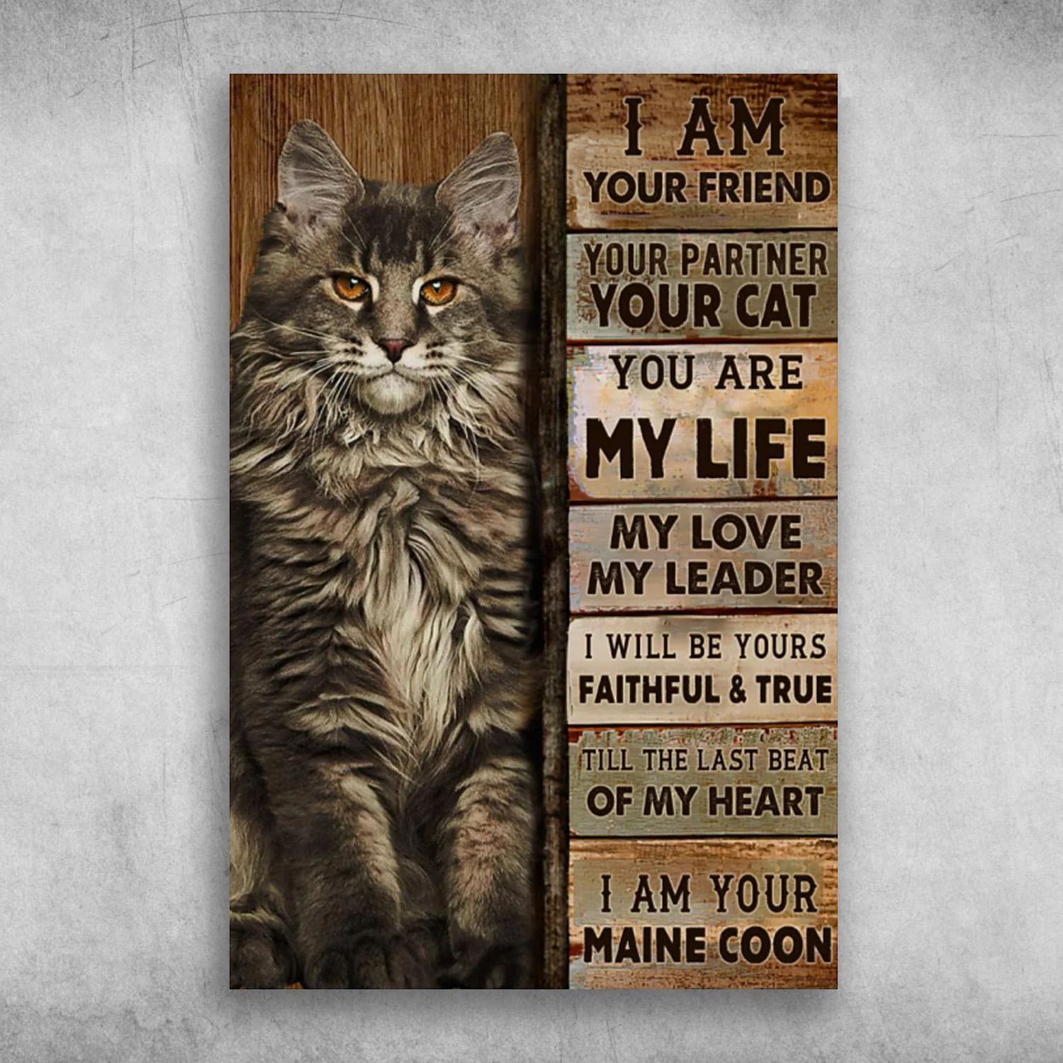 Maine Coon Cat Portrait Canvas For Son - I Am Your Friend, You Are My Life My Love My Leader, Perfect Gift For Maine Coon Lover, Cat Lover