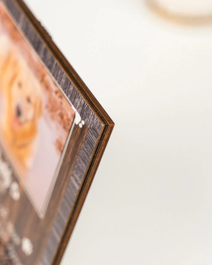 Personalized Pet Collar Frame - Custom A Dachshund Pet Picture Frames, Pet Loss Sympathy, Memorial Pet Collar Sign - Gift For Grieving Pet Owner - Image 6