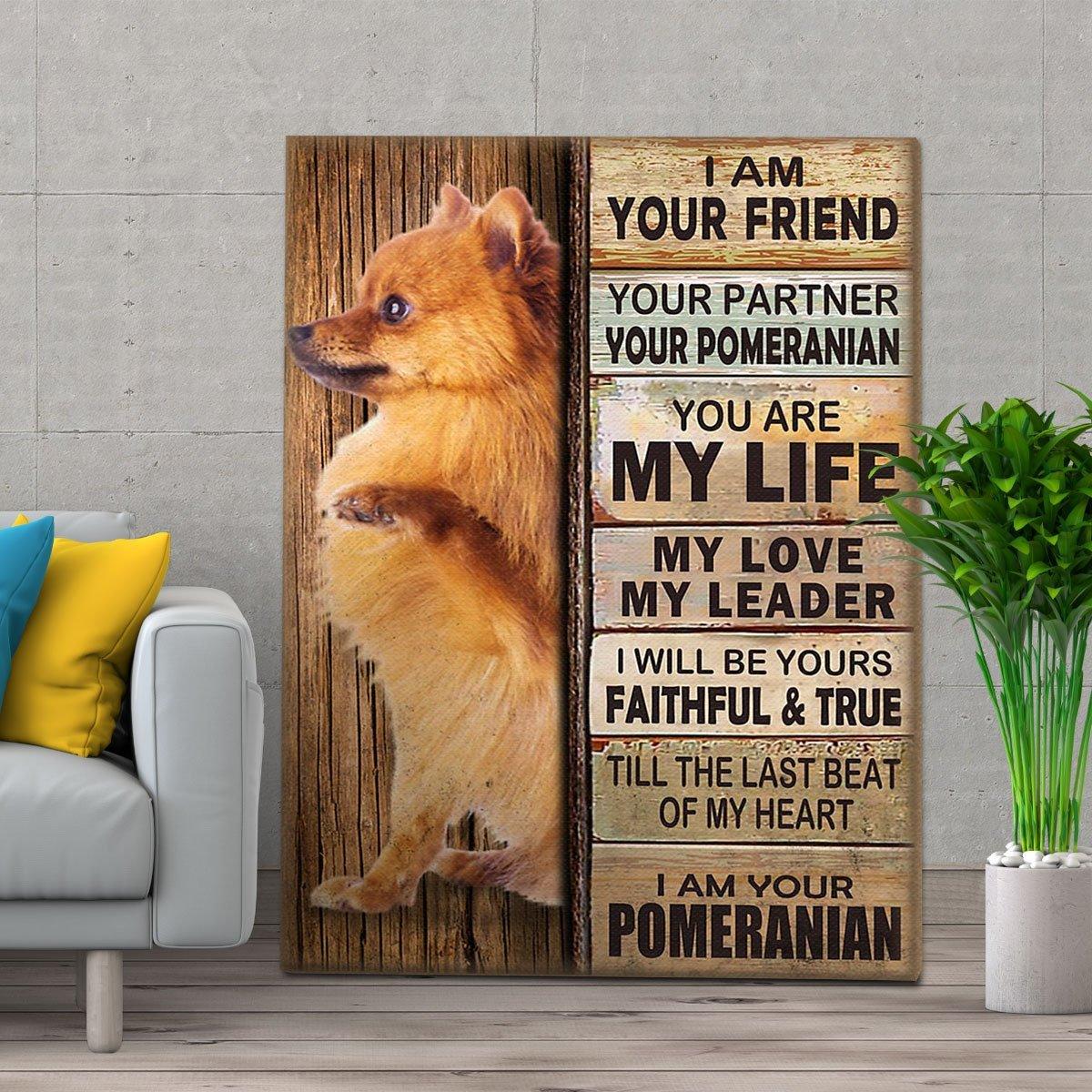 Pomeranian Dog Portrait Canvas - I Am Your Friend Your Partner Your Pomeranian You Are My Life Canvas, Perfect Gift For Dog Lover, Pomeranian Lover