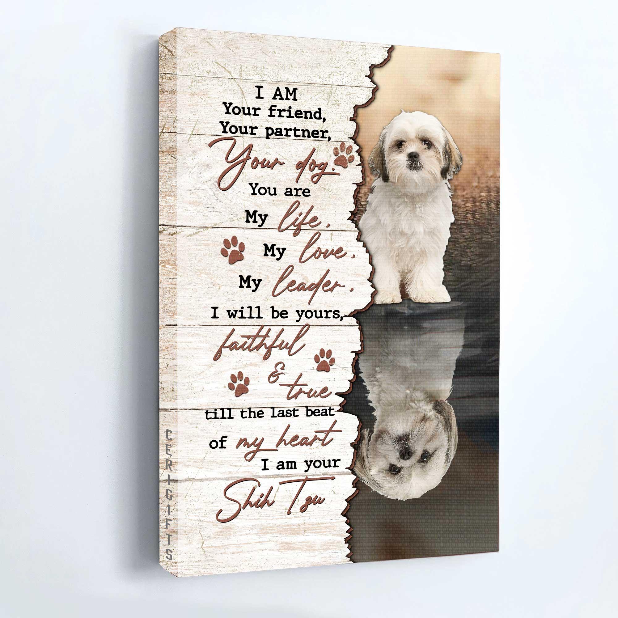 Shih Tzu Portrait Canvas- Shih Tzu painting - Gift for Dog lover- I'm your amazing Shih Tzu - Dog Portrait Canvas Prints, Wall Art - Image 5